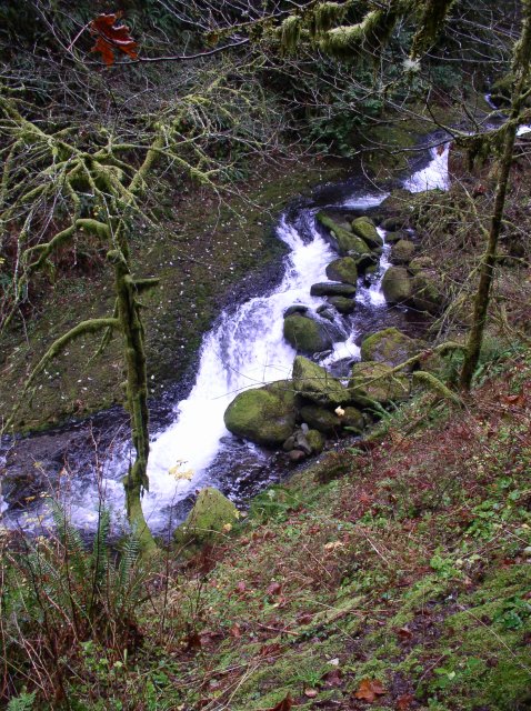 Waukeena Mult Falls 11.26.05 063 